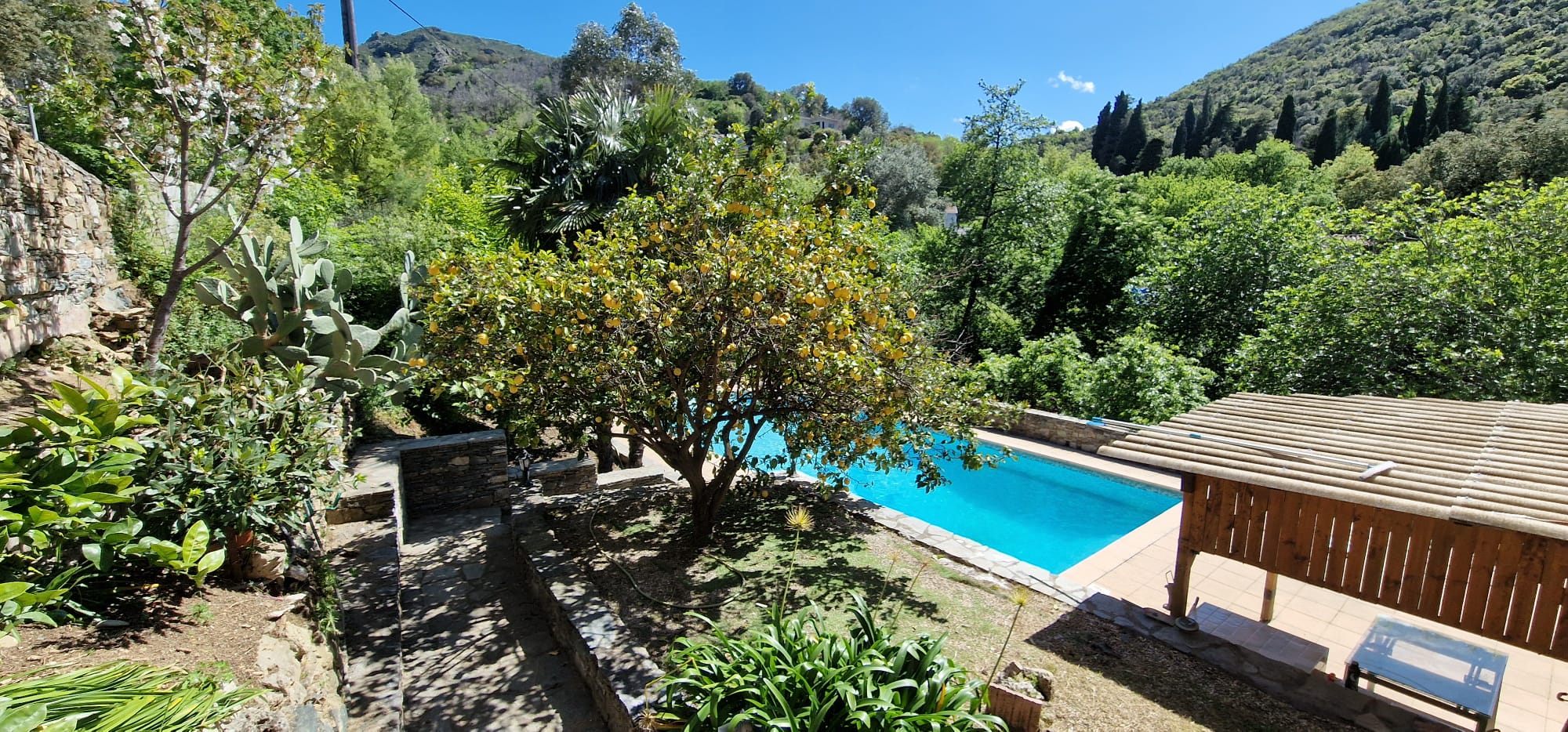 Piscine au soleil